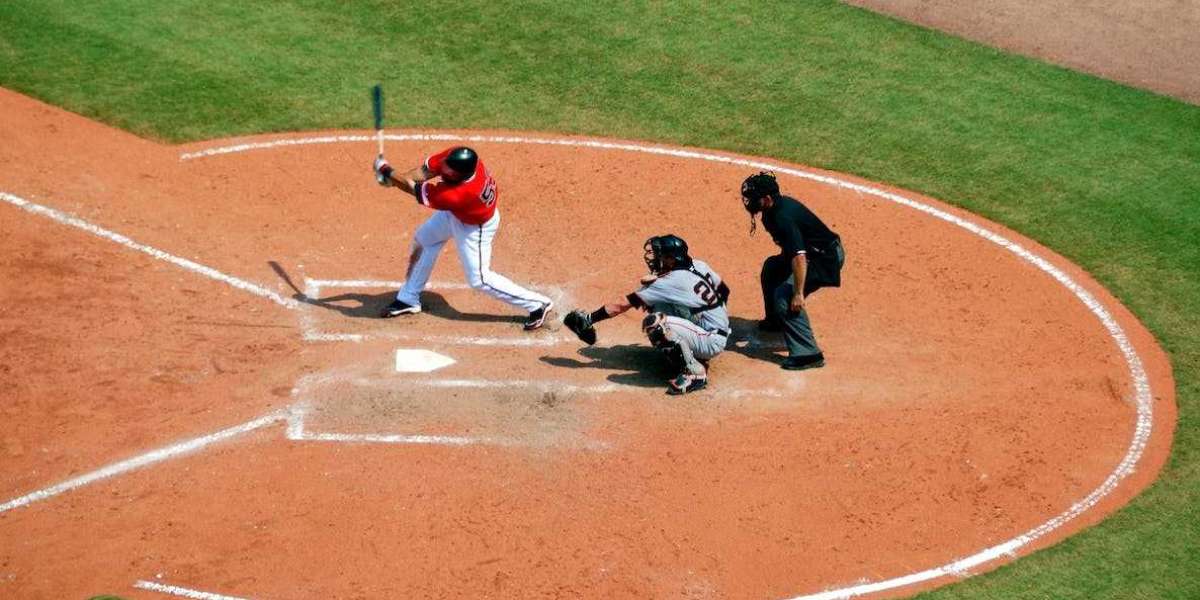 Umpire Chronicles: Behind the Plate in American Baseball