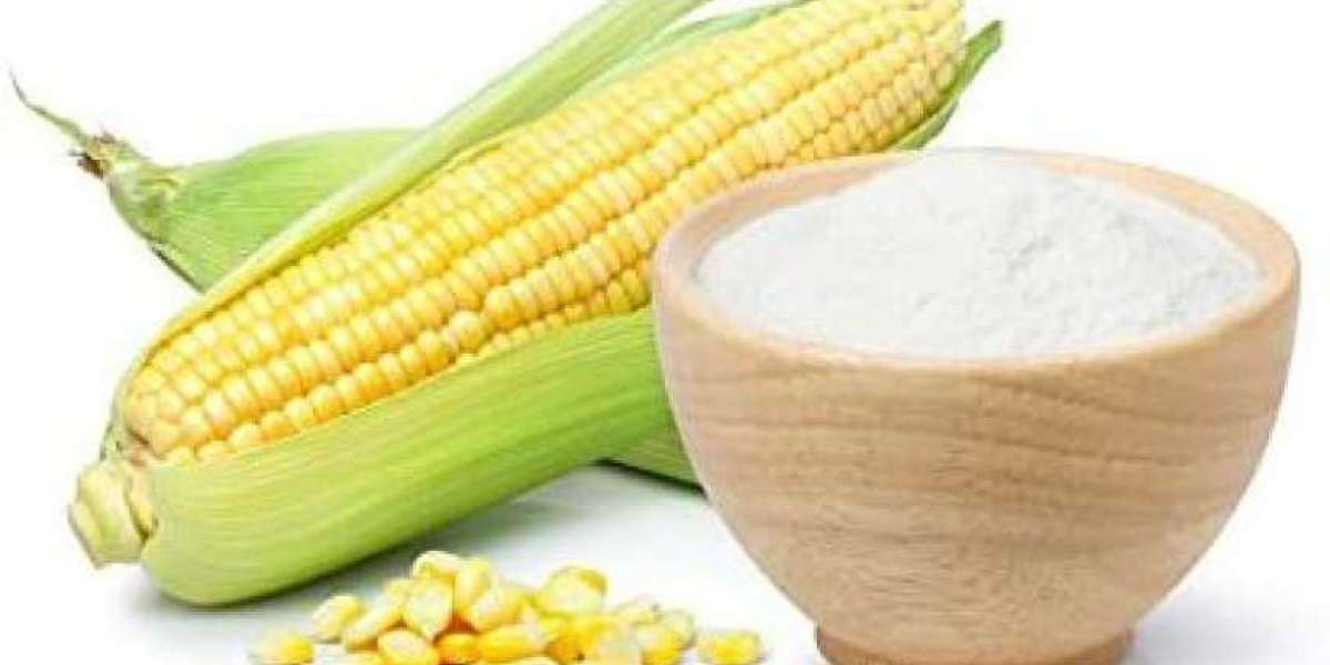 Corn Starch Manufacturing Plant Project Report 2024, Raw Material, Investment Opportunities, Cost and Revenue