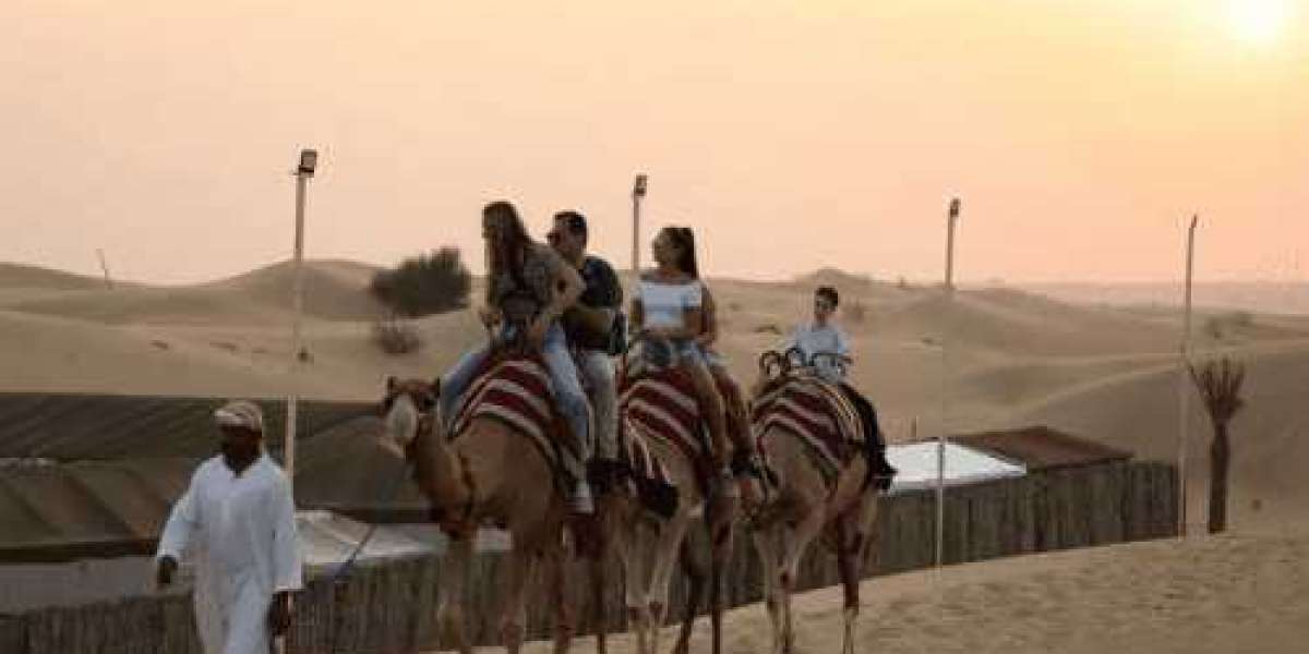 Dubai's Dune Diaries: Safari Expeditions for Every Explorer