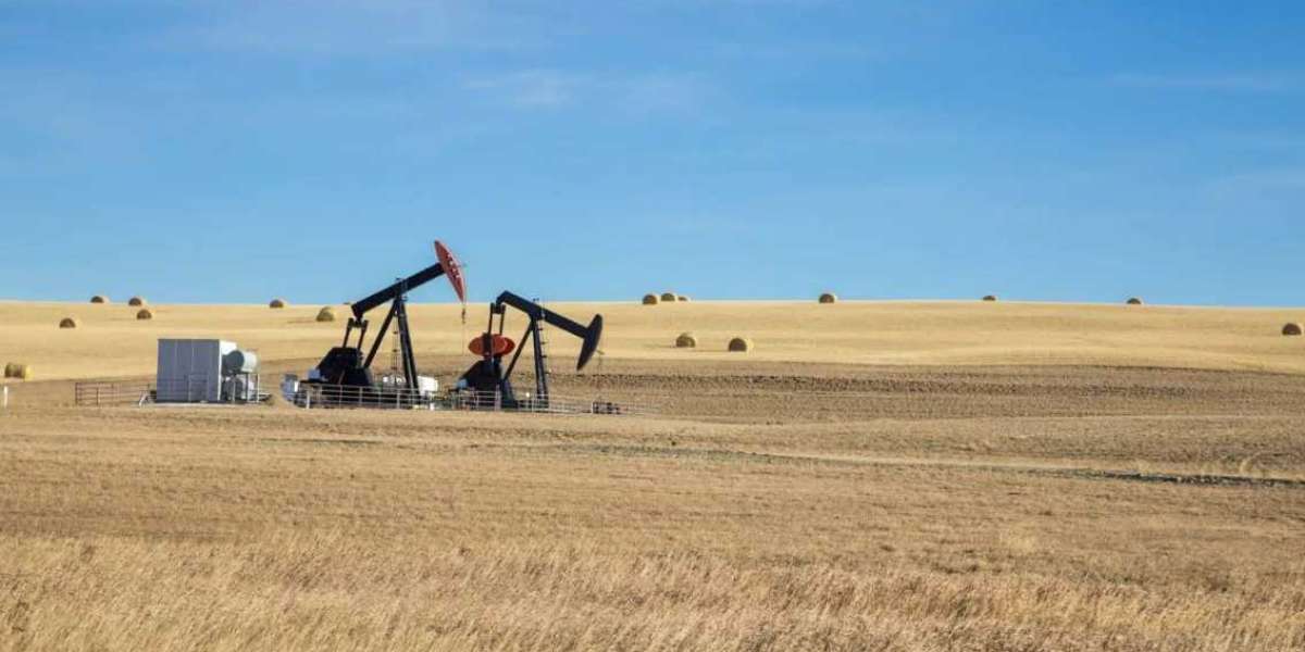 Timing is Everything: Knowing When to Sell Your Mineral Rights for Maximum Gain!
