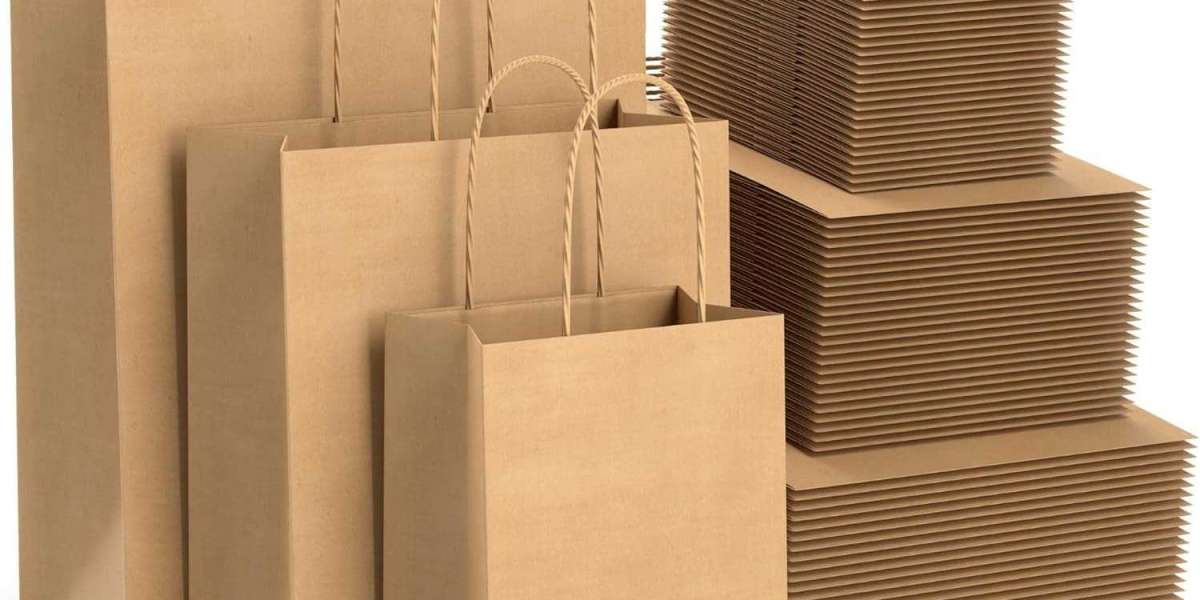 Setting up a Paper Shopping Bags Manufacturing Plant: Project Report 2024 and Business Plan