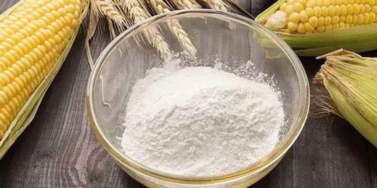 Dextrose Powder Manufacturing Plant Report 2024: Business Plan, Requirements, Cost and Revenue