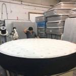 cotton mattress Profile Picture
