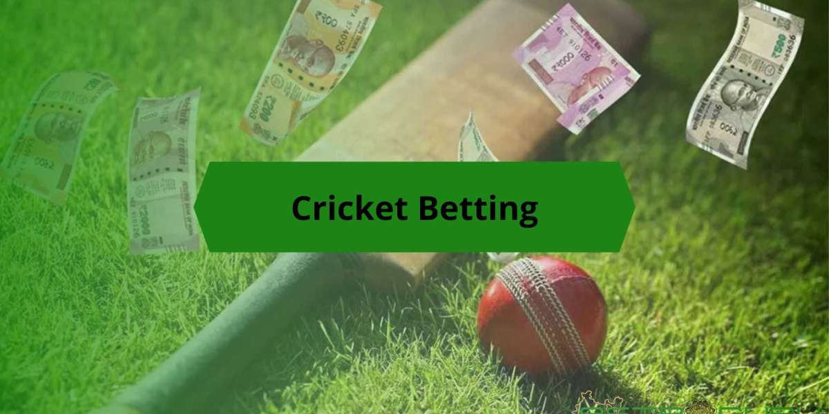 Quick and Easy Signup with Cricbet99!