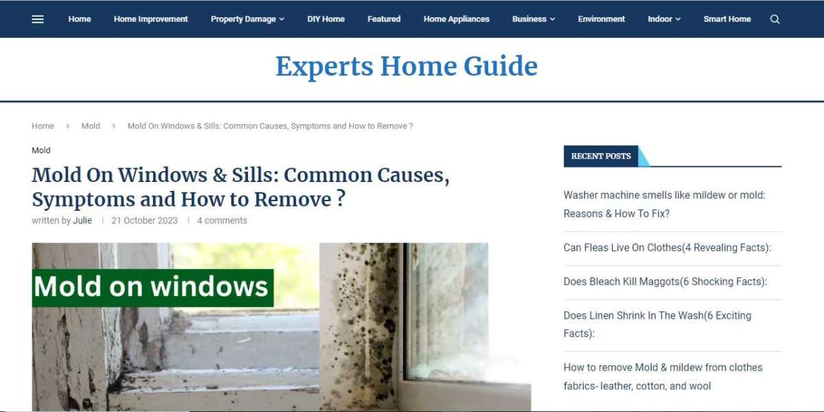 Mold on Windows: Causes, Risks, and Remediation