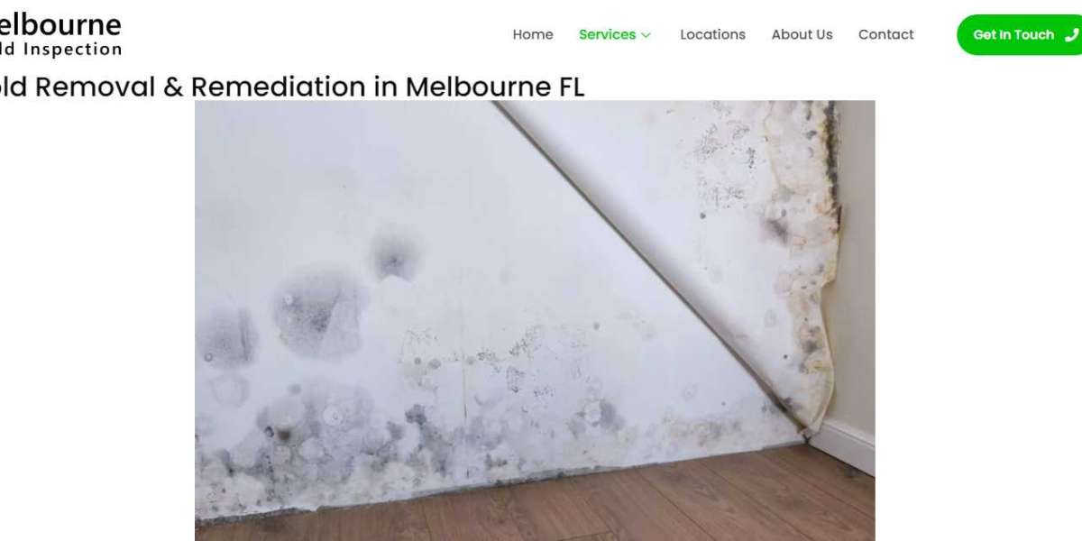 Professional Mold Removal Services in Melbourne