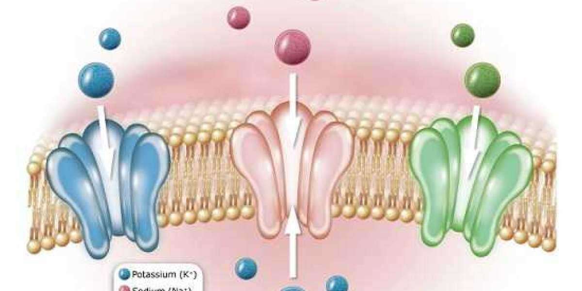 The Action of Ion Channels in the Body