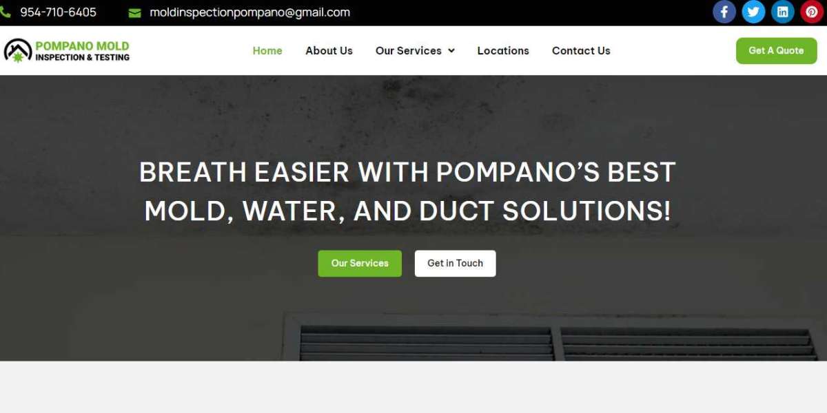 A Complete Guide to Pompano Beach Mold Remediation