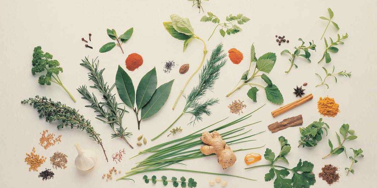 Herbal Remedies Revolutionizing the Medicinal Plant Extracts Market