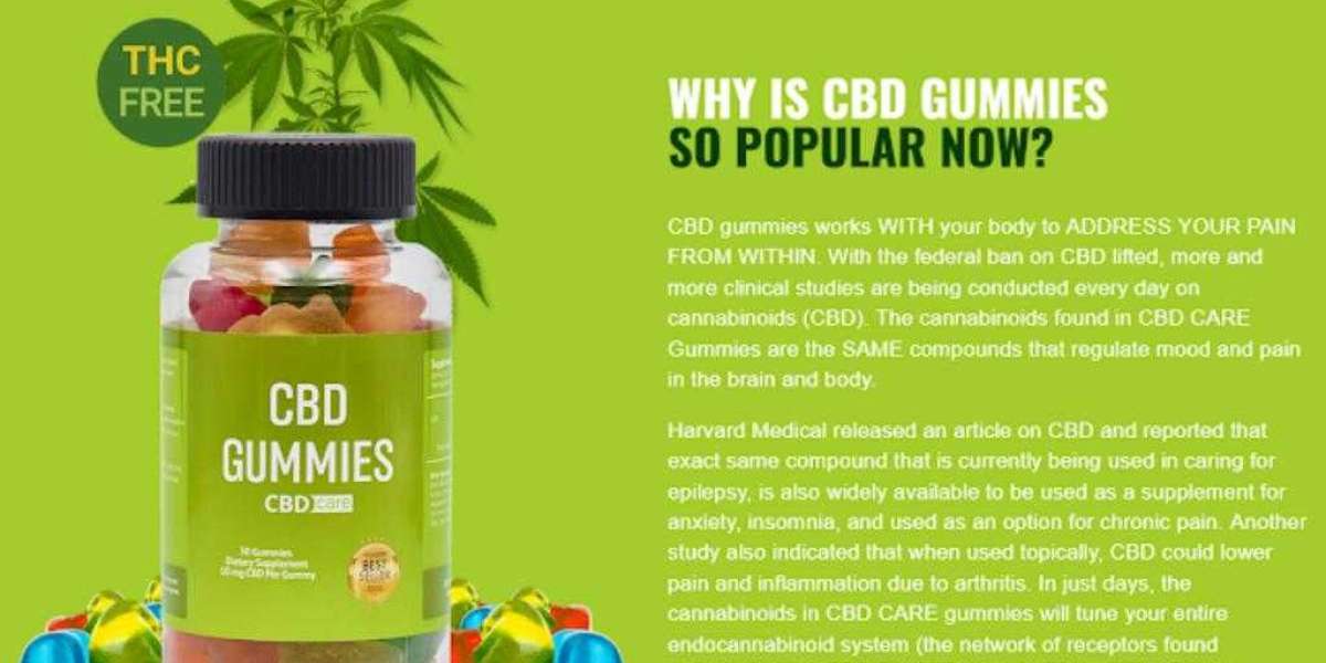 The Ultimate Guide to Bloom CBD Gummies: Benefits and Uses