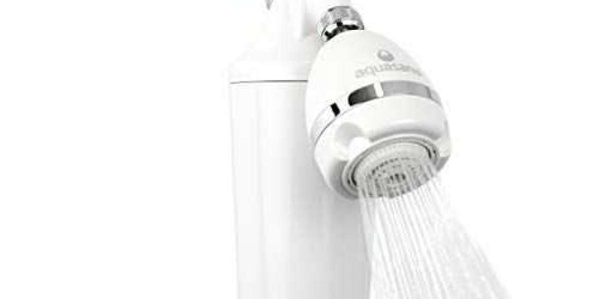 Why do I Need a Safety Shower Water Filter?