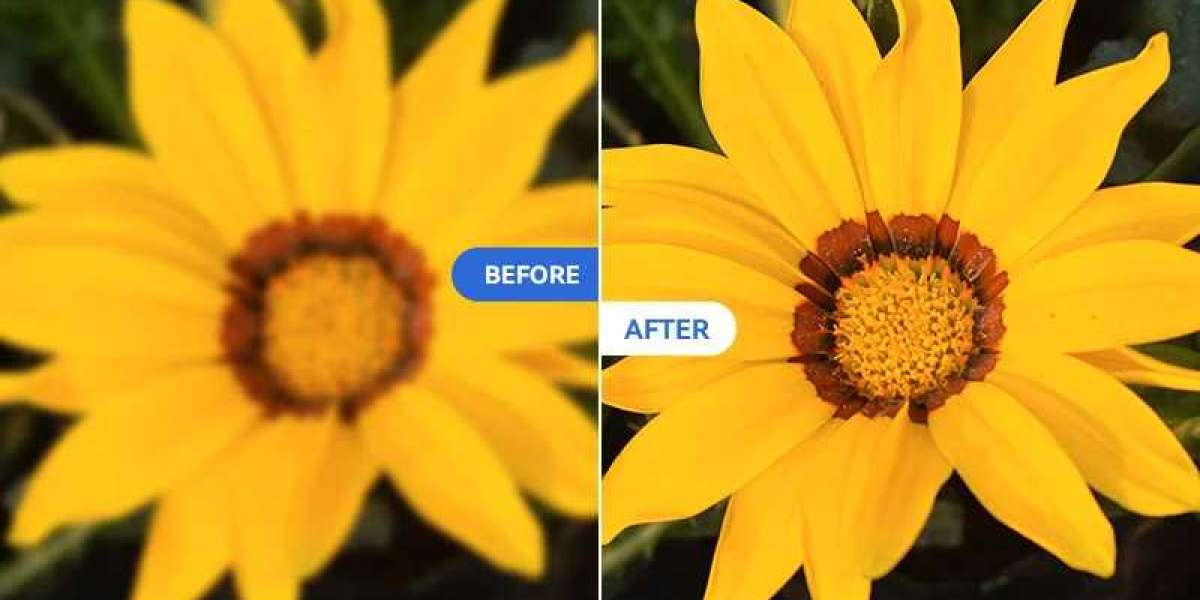  Unlock the Magic: AI Remove Blur from Image Unveiled