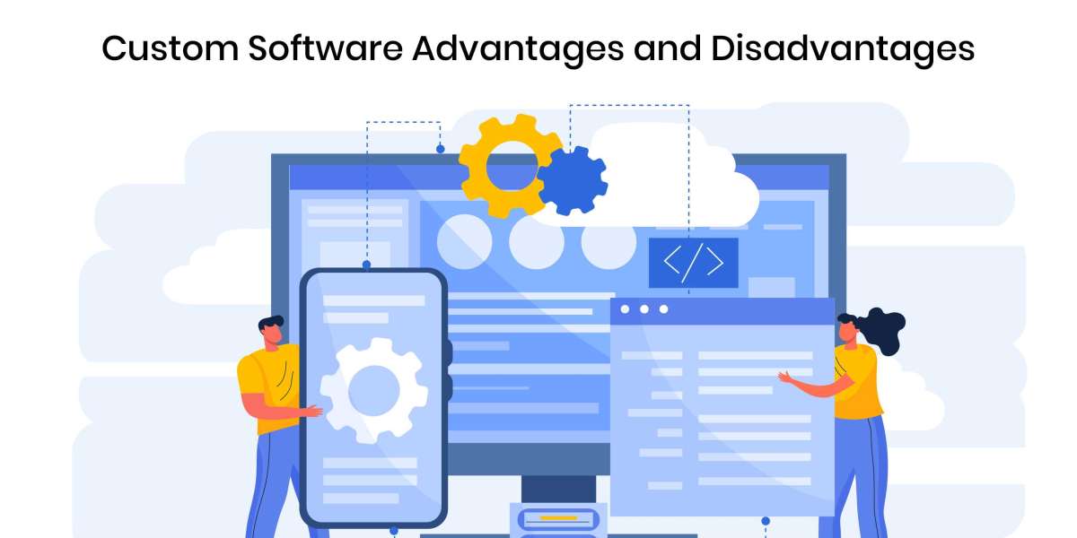 Custom Software Advantages and Disadvantages