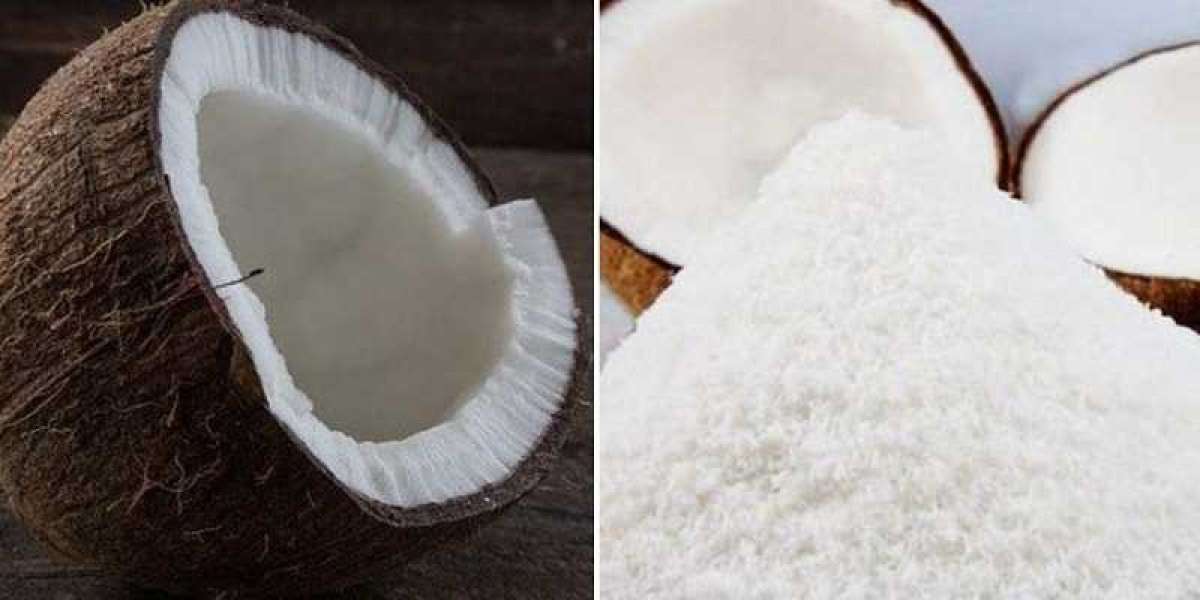 Coconut Powder Manufacturing Plant Project Report 2024, Manufacturing Process, Business Plan, Setup and Cost