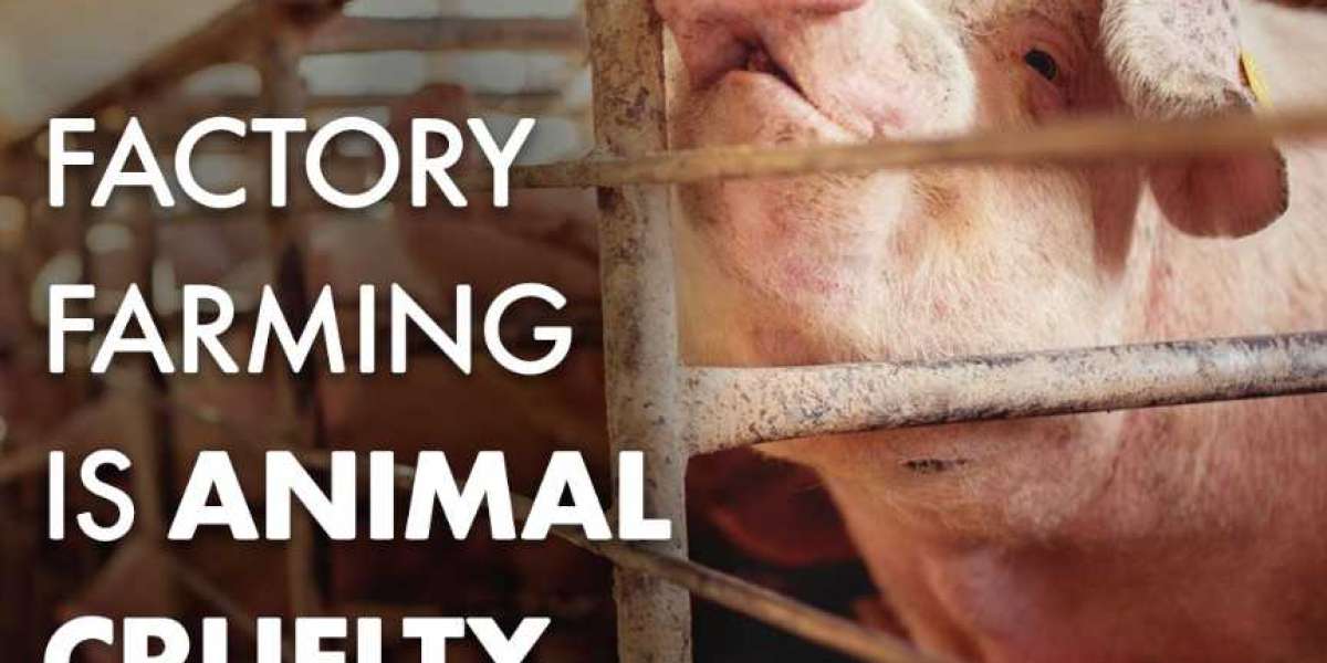 Pemakanan Vegan Etika: Menghormati Semua Makhluk