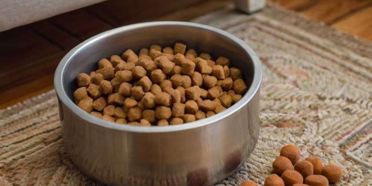 Dog Food Manufacturing Plant Project Report 2024 | Report by IMARC Group