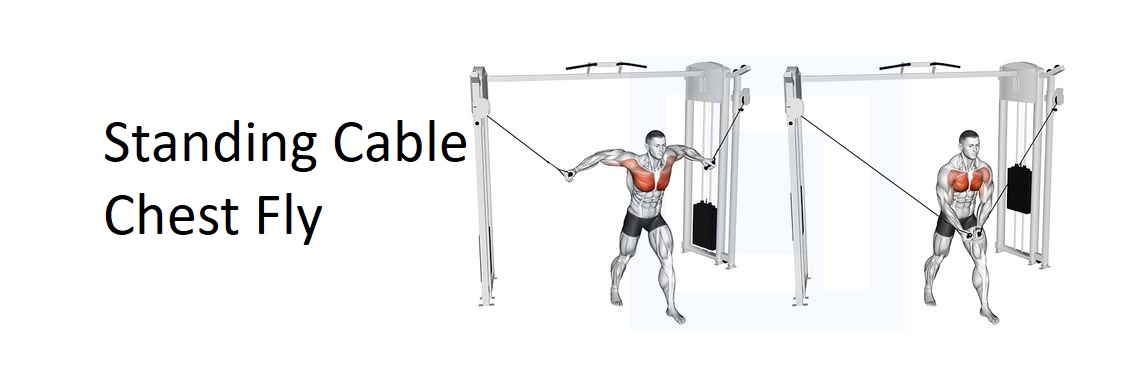 Standing Cable Chest Fly: A Complete Guide to Technique, Benefits, Alternatives, and More for Chest Development - Save Dollar