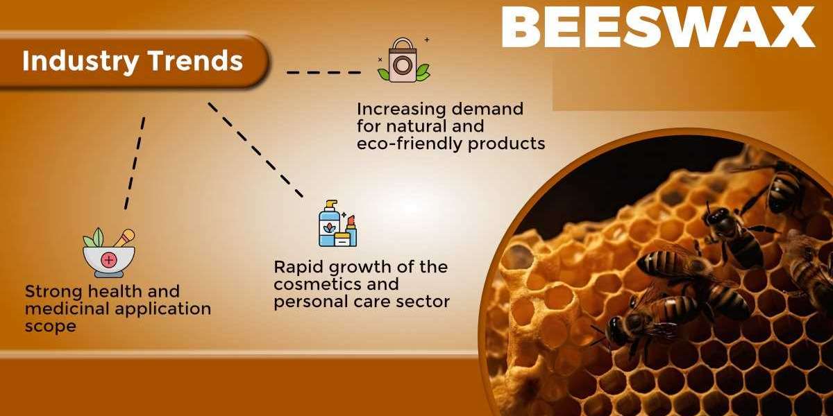 Beeswax Market Size to Surpass USD 802.4 million by 2031| Focusing on Top Leading Vendors like Ace Beeswaxs, Camco Manuf