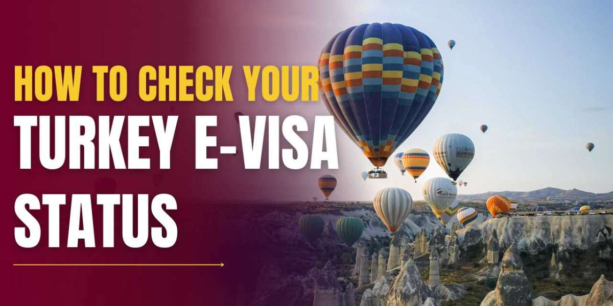 How to Check Turkey e-Visa Status