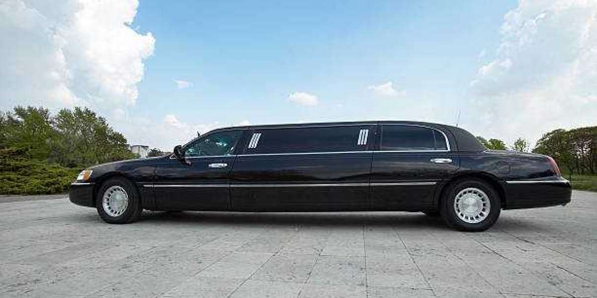 Corporate Travel Made Easy: Why You Should Hire Limousine Rentals Near Me in Hilton Head