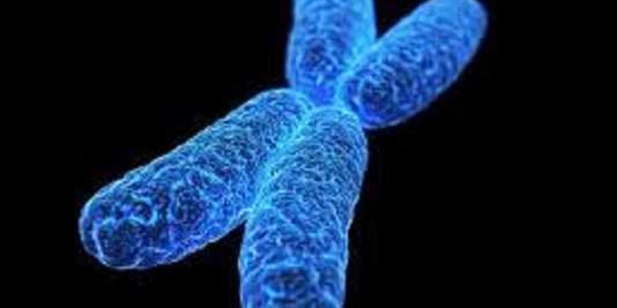 Hunter Syndrome Market Size : Epidemiology, Industry Trends, Opportunity and Forecast till 2024-2034