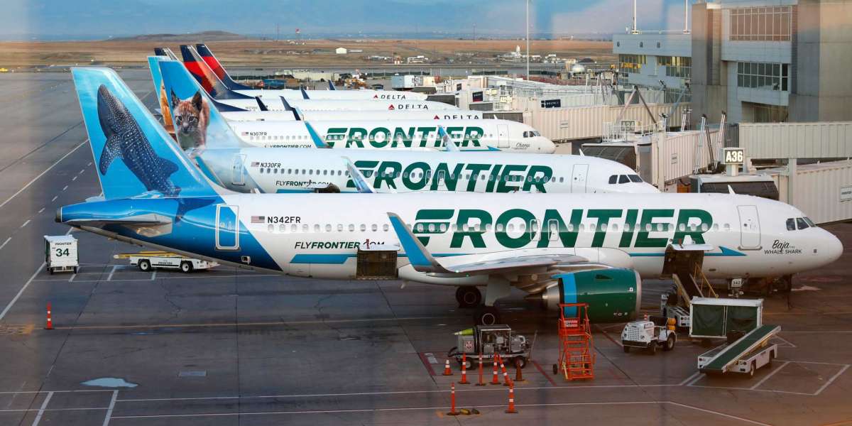 What is the process of Frontier change flight