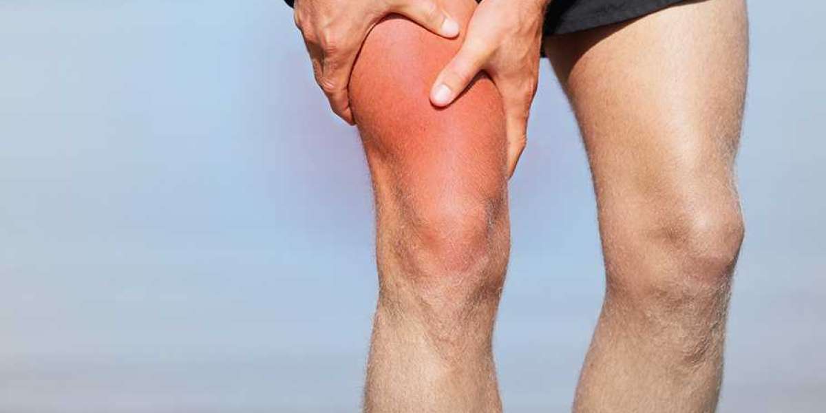 Understanding Leg Muscles: Thigh and Calf Muscles Explained