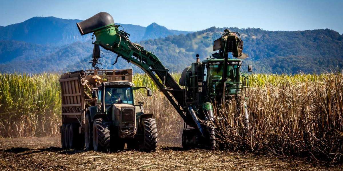 Establishing a Profitable Sugar Cane Processing Plant Report 2024, Business Plan and Cost Analysis