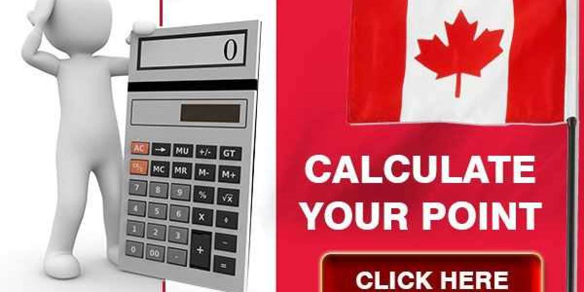 Why You Should Begin Your Immigration Journey with the PNP Points Calculator?