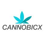 Canno bicx Profile Picture