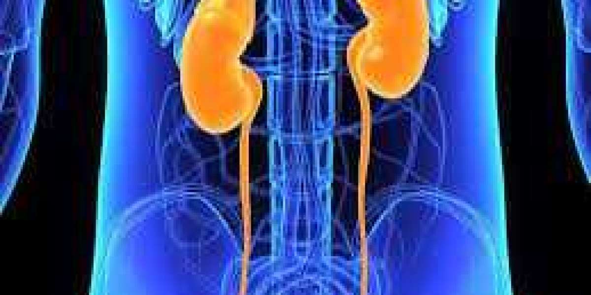 Kidney Transplant Rejection Market Report 2024: Epidemiology, Industry Trends, Size, Share and Forecast to 2034