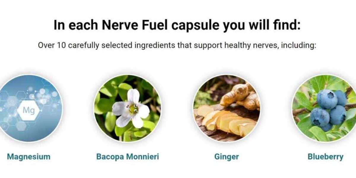 Nerve Fuel Reviews – (Exposed 2024) Does It Really Work? Don’t Buy Before Read