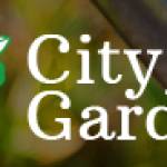 city garden Profile Picture