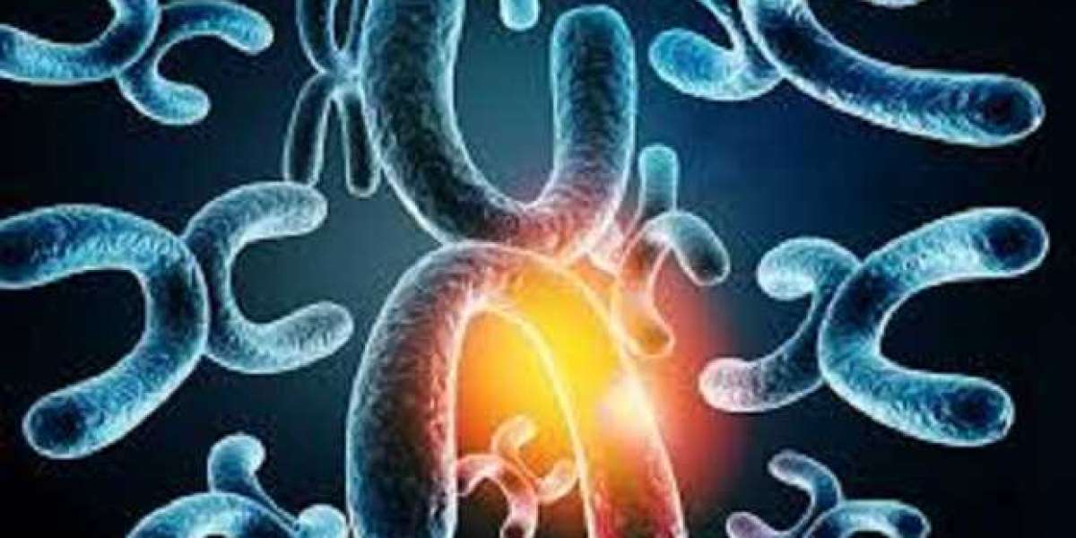 Wiskott-Aldrich Syndrome Market Report: Epidemiology, Trends and Forecast to (2024-2034)